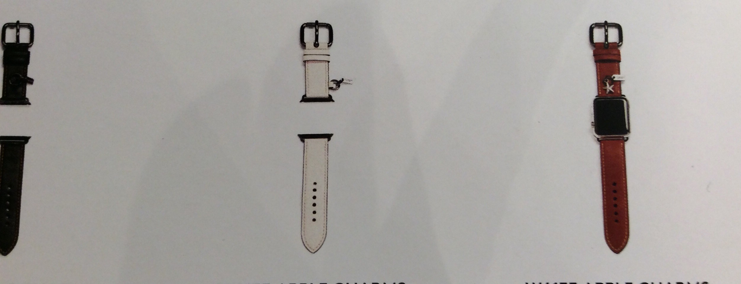アップル、COACHデザインのApple Watchバンドを発売か