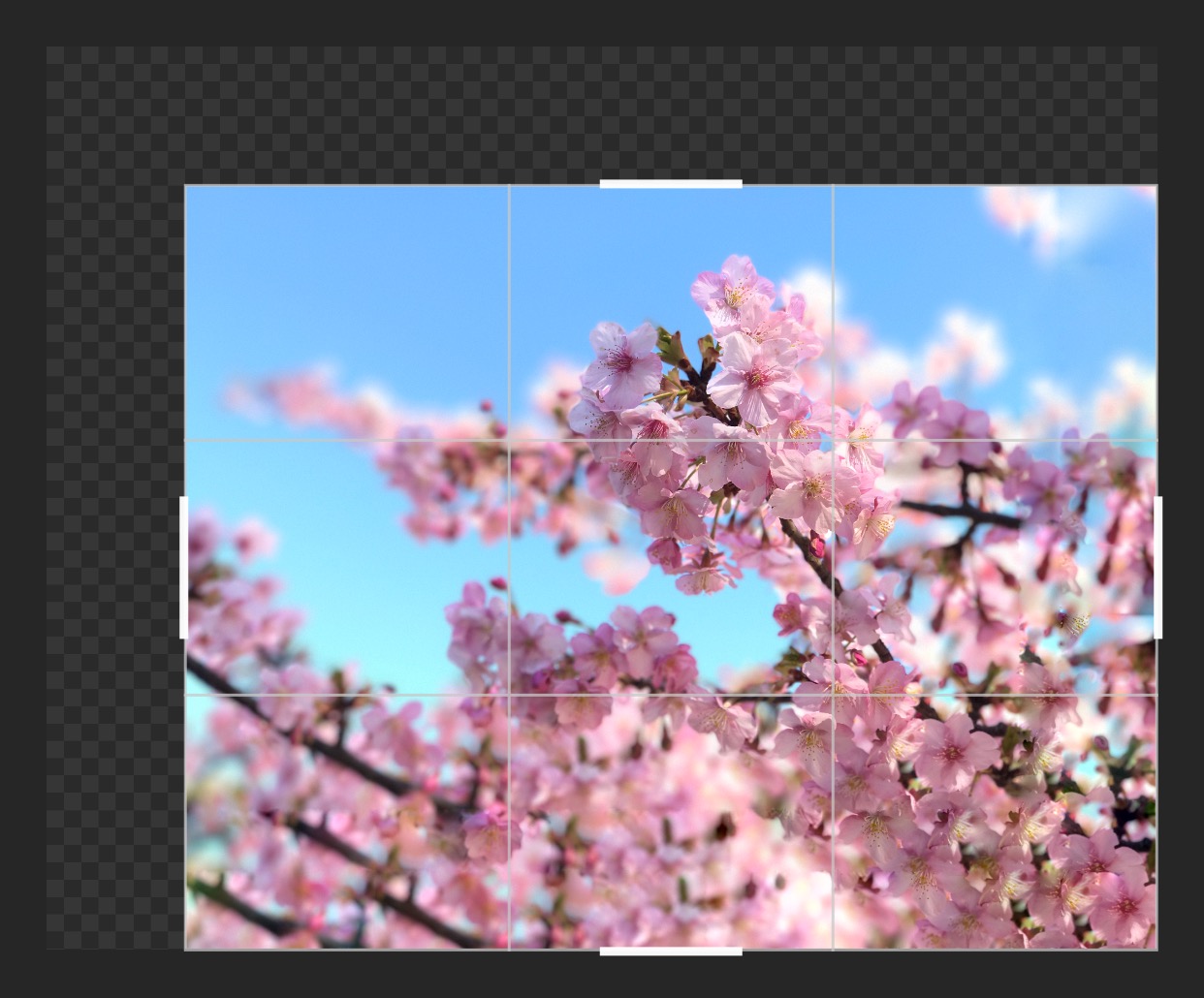 写真加工アプリ「Snapseed」がアップデート。強力な新しいフィルタとツールを追加