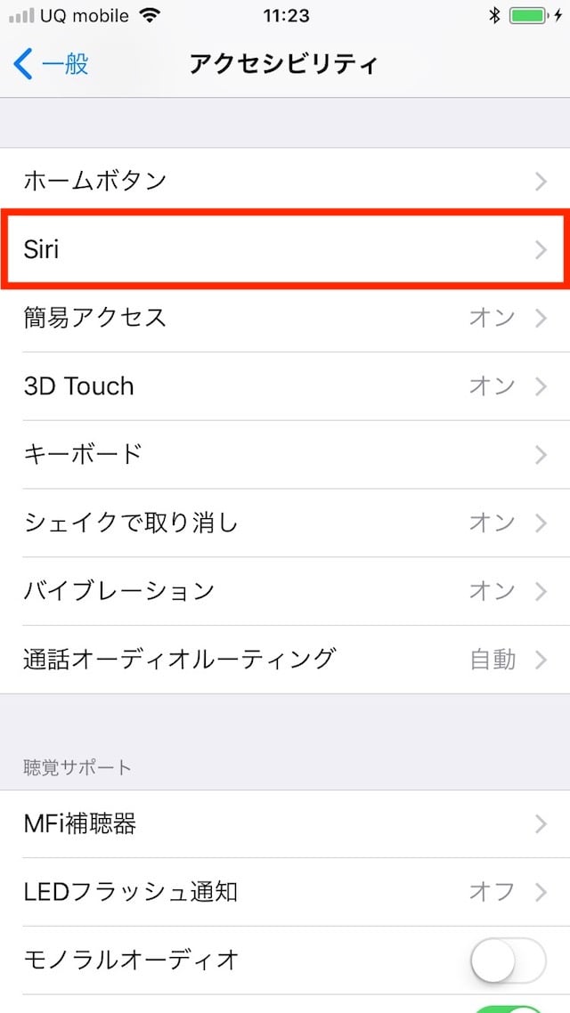 「Type to Siri」オプションを有効にする
