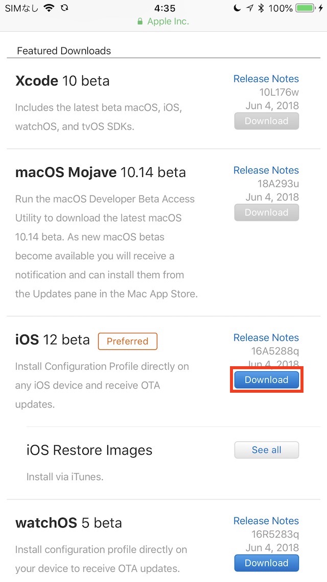 iOS 12 betaのDownloadボタンをタップ