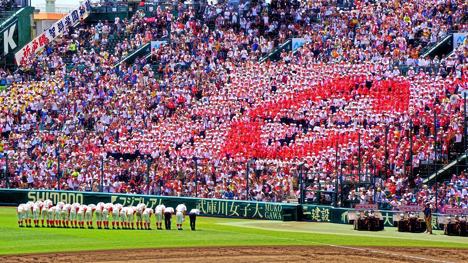 静かに 狐 付添人 甲子園 壁紙 Soubikan Jp