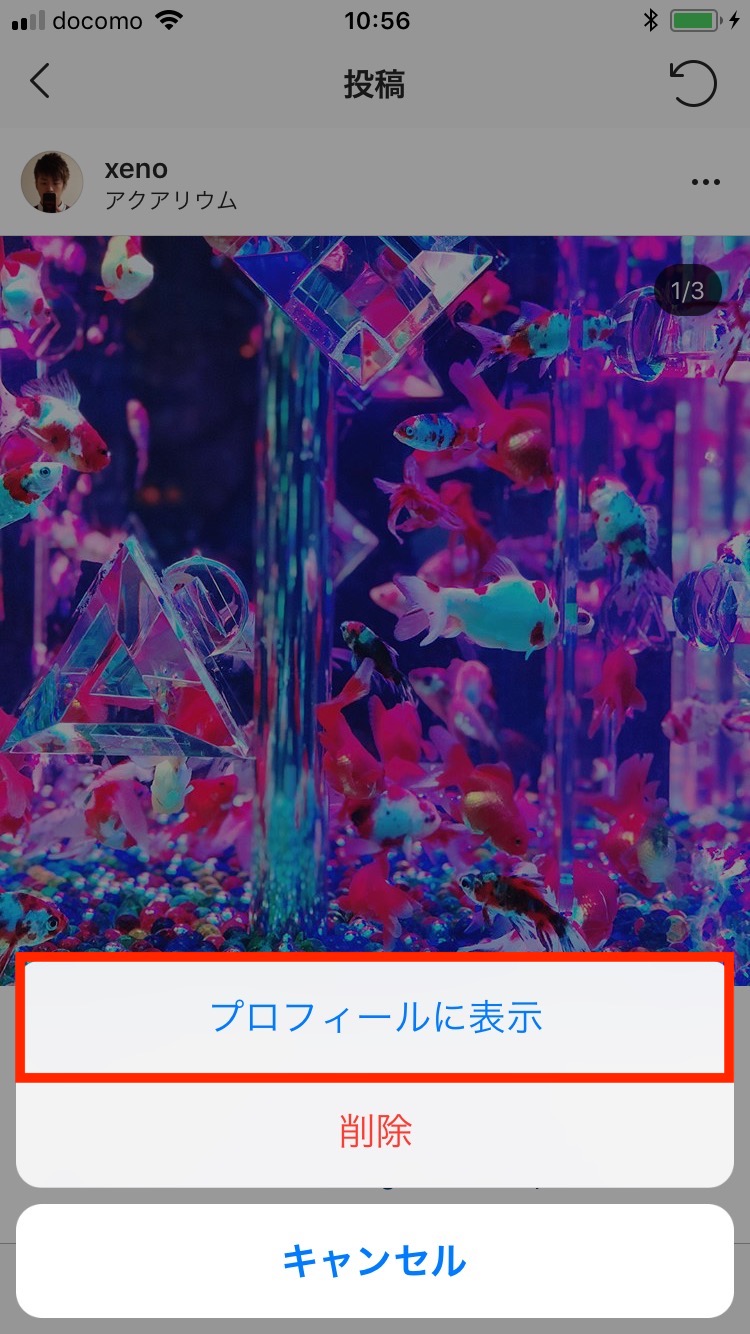 アーカイブの使い方 - アーカイブした写真や動画を確認する