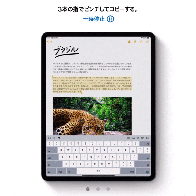 「iPadOS」の新機能・変更点まとめ - テキスト編集
