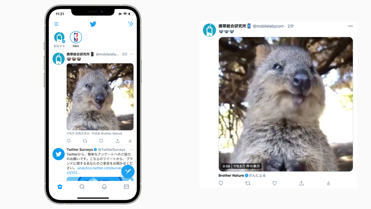 知ってる Twitterで動画だけ引用ツイートする方法