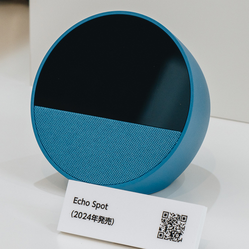 Echo Spot