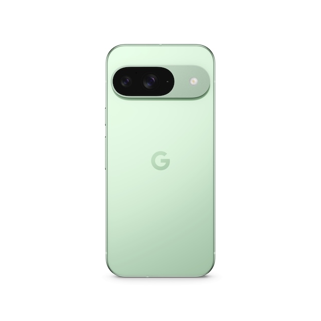 Google Pixel 9のWintergreenカラー